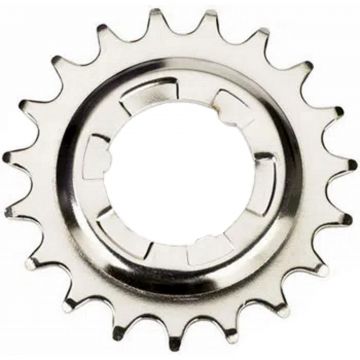 Pinion 19T NEXUS