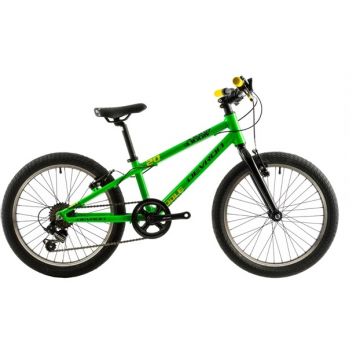 Bicicleta copii Devron Riddle K1.2 verde 20 inch