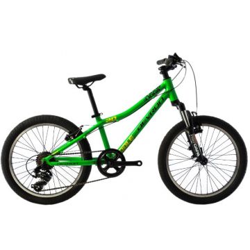 Bicicleta copii Devron Riddle K2.2 280 mm verde 20 inch