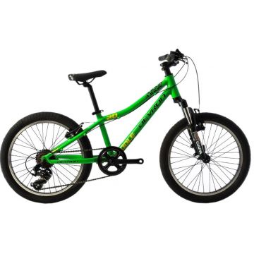 Bicicleta copii Devron Riddle K2.2 verde 20 inch