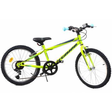 Bicicleta copii Dhs 2021 verde deschis 20 inch