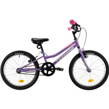 Bicicleta copii Dhs Terrana 2004 violet 20 inch