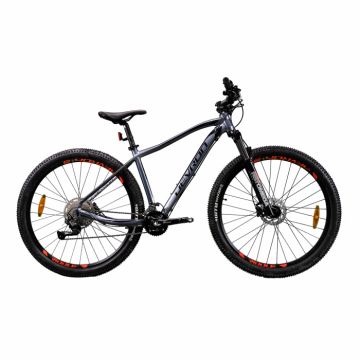 Bicicleta Mtb Devron Riddle 2023 RM3.9 - 29 Inch, M, Gri