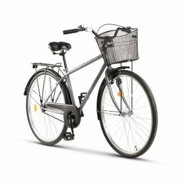 Bicicleta City RICH Dunarea R2891A 28 inch cadru gri cu design albastrualb