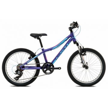 Bicicleta copii Devron Riddle Lh 0.2 S 280 deep purple 20 inch