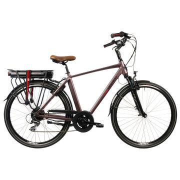 Bicicleta Electrica Devron 28221 - 28 Inch, L, Maro