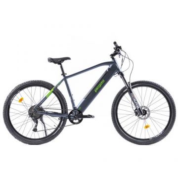 Bicicleta Electrica Pegas Drumet Dinamic, L, Roti 29inch, 9 Viteze, Viteza maxima 25 Km, Autonomie 70Km, Motor 250 W (Gri/Verde)