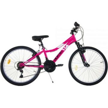 Bicicleta copii 9-12 ani, 24 inch, Mtb Femei Ring Roz, Dino Bikes DB424DS02PI