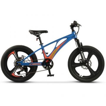 ﻿﻿Bicicleta Copii MTB Carpat C20343A, roti 20inch, Albastru/Portocaliu