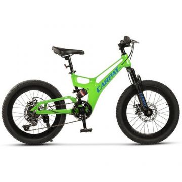 Bicicleta Copii MTB-FS Carpat C20344A, roti 20inch, Verde/Albastru