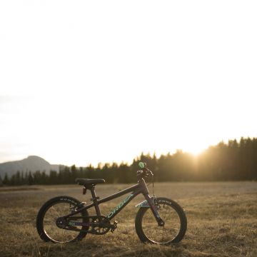 Orbea MX 24 TEAM DISC Mango (Gloss) - Black (Matt) - măsura 24 - bicicletă copii