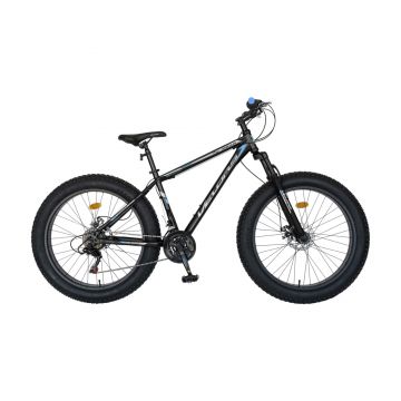 Fat bike