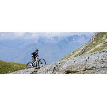Orbea WILD M-TEAM Caramel - White - bicicletă electrică eMTB Enduro