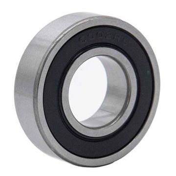 Rulment 6002 RS