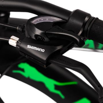 Bicicleta panther 29 inch, frane pe disc, 21 viteze, cadru otel, negru-verde Bicicleta panther 29 inch, frane pe disc, 21 viteze, cadru otel, negru-verde