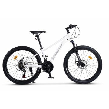 Bicicleta pentru copii MTB-HT Carpat Pro Teen C24472A Albgri, roti 24 inch, cadru aluminiu, 21 viteze, echipare Shimano, frane disc mecanice, cabluri integrate Bicicleta pentru copii MTB-HT Carpat Pro Teen C24472A Albgri, roti 24 inch, cadru aluminiu, 21 viteze, echipare Shimano, frane disc mecanice, cabluri integrate