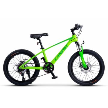 Bicicleta pentru copii MTB Carpat Hiro C20342A Verde, roti 20 inch, inaltime utilizator 120-155 cm, greutate suportata 80 kg Bicicleta pentru copii MTB Carpat Hiro C20342A Verde, roti 20 inch, inaltime utilizator 120-155 cm, greutate suportata 80 kg