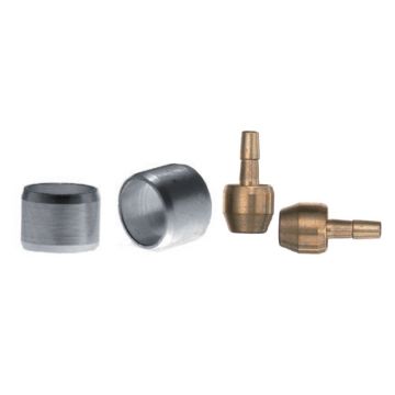 Insertii , Bucsa Hayes Insertii , Bucsa Hayes