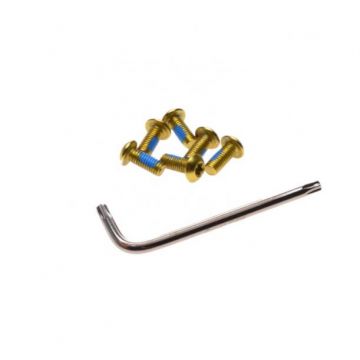 Set 6 suruburi disc frana biciclete, Unex, culoare auriu Set 6 suruburi disc frana biciclete, Unex, culoare auriu