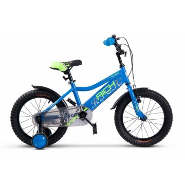 Bicicleta pentru copii Rich R1605A, roti 16 inch, 4-6 ani, AlbastruVerde