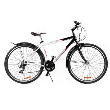 Bicicleta MTB trekking Passati Torino 28