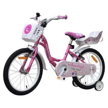 Bicicleta pentru copii Novokids SplendOr Boom Pro Edition Roz, cosulet pentru papusi, roti 20 inch, maxim 50 kg, cadru din otel, roti ajutatoare detasabile, ghidon reglabil pe inaltime