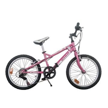 Bicicleta Ultra 20   Courage